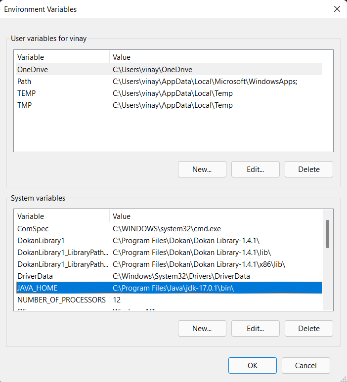 java environment variables